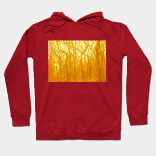 VELVET WOOD: Yellow Hoodie